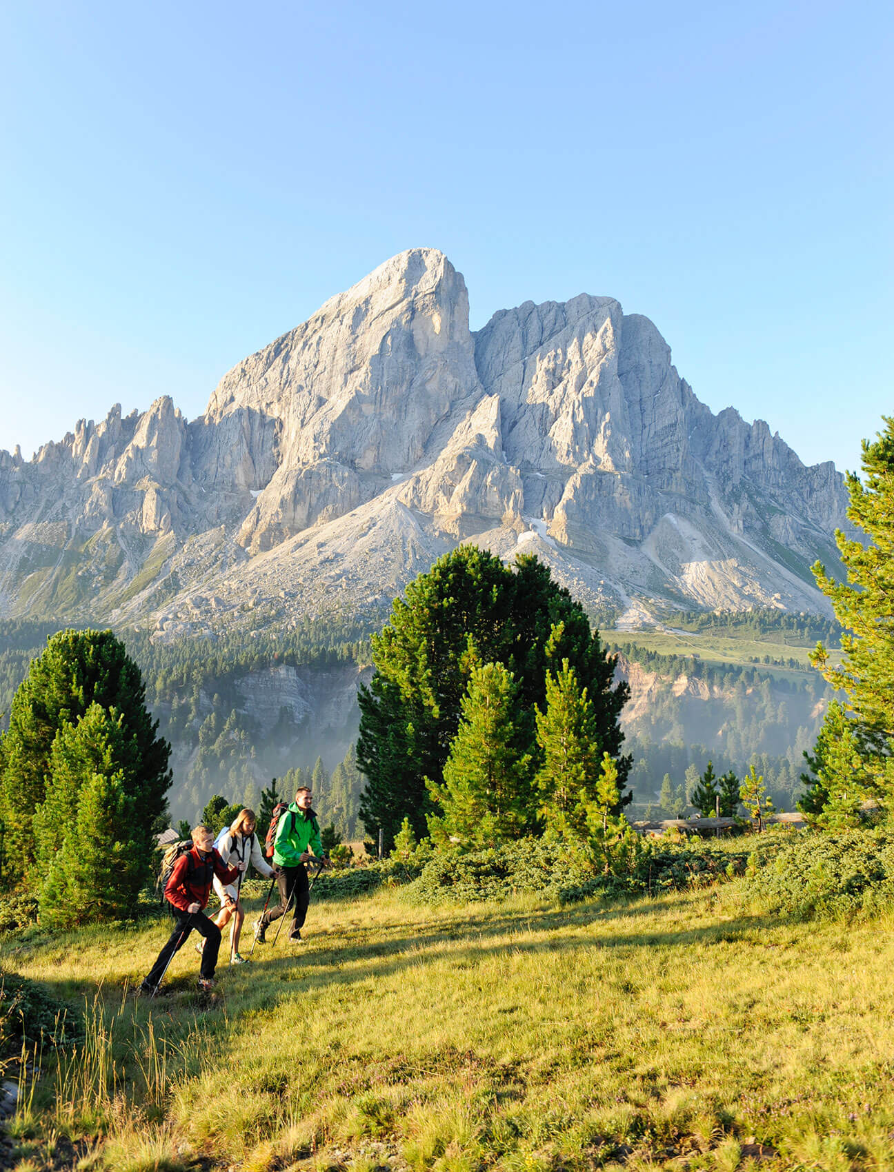 Estate - Hotel Brötz