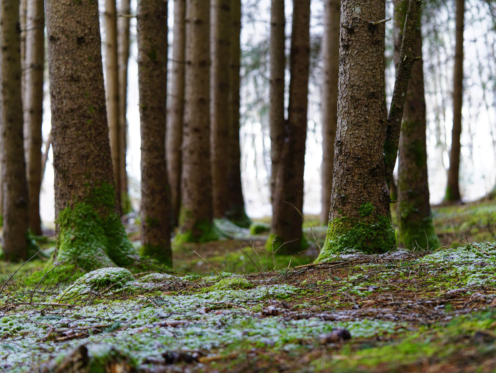 Natura - Hotel Brötz